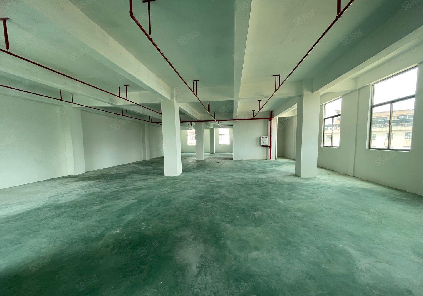 塘厦平山二楼450平9.9元招租，每层一户好管理，空地好进车