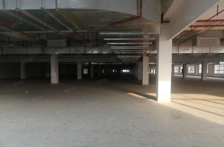 塘厦原房东红本标准厂房三层10万平方。单层1万平，大小可分租