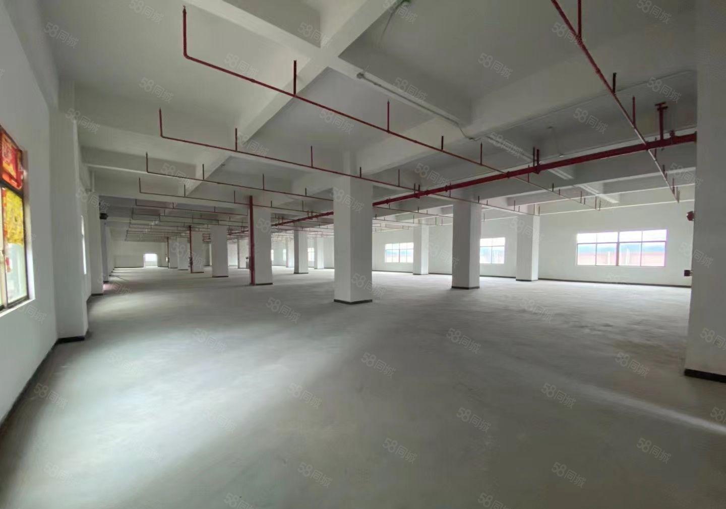 塘厦石马3楼850平方，原房东直租