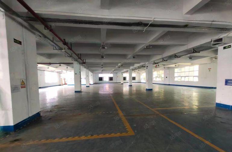 厂房出租科苑城独栋厂房9000平方，单层2200平方大小分租