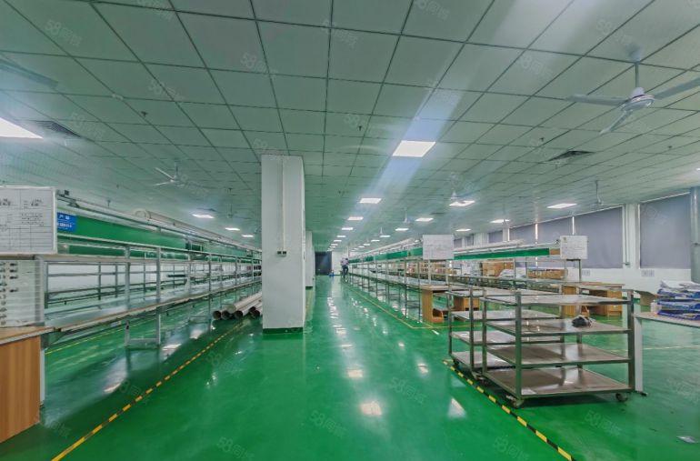 塘厦9000平方独院厂房原房东零公摊高速出口旁