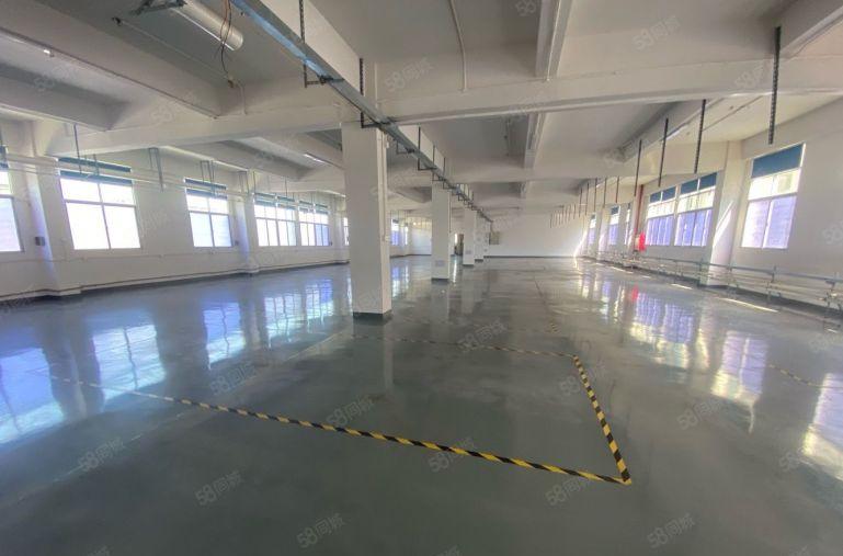 塘厦科苑城标准楼上980平方！无公摊！蹭亮地坪漆精装修