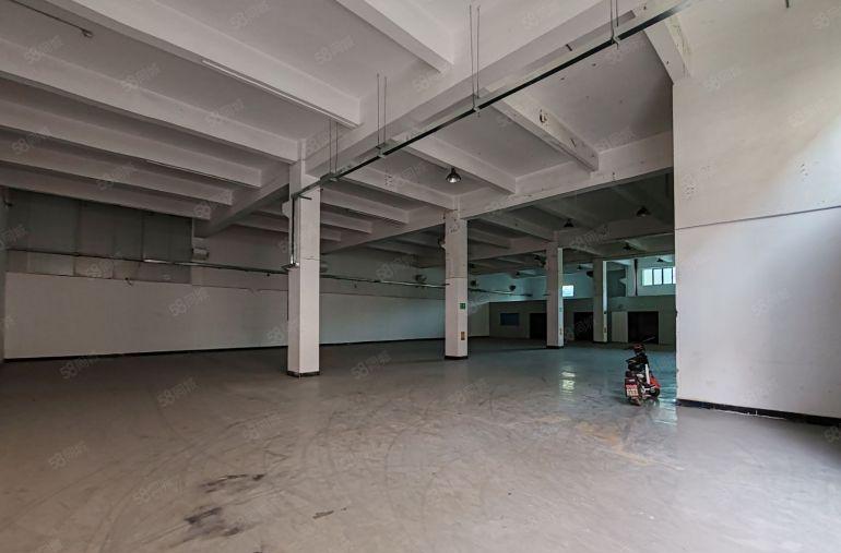 塘厦园区标准厂房一楼950平，带装修办公，带牛角价格优惠出租