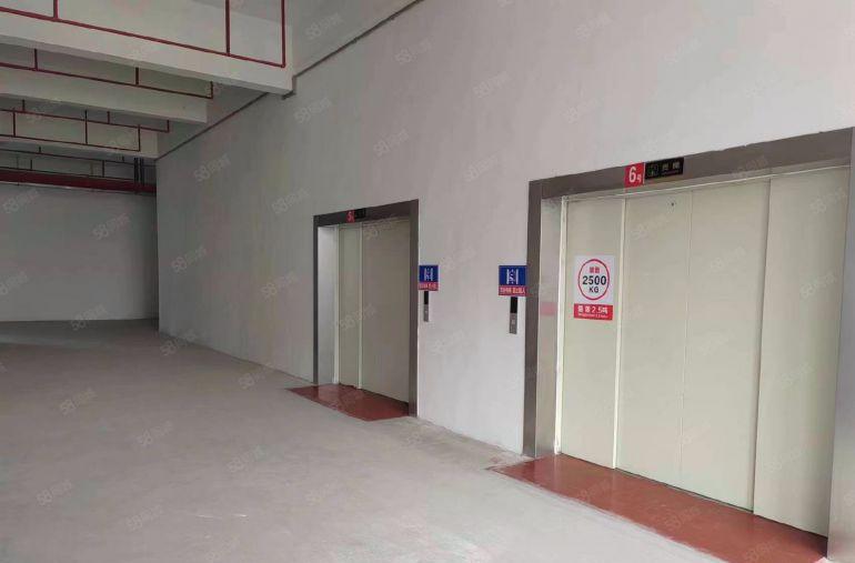 塘厦近大坪高速口靠观澜全新标准厂房5000平招租带消防喷淋