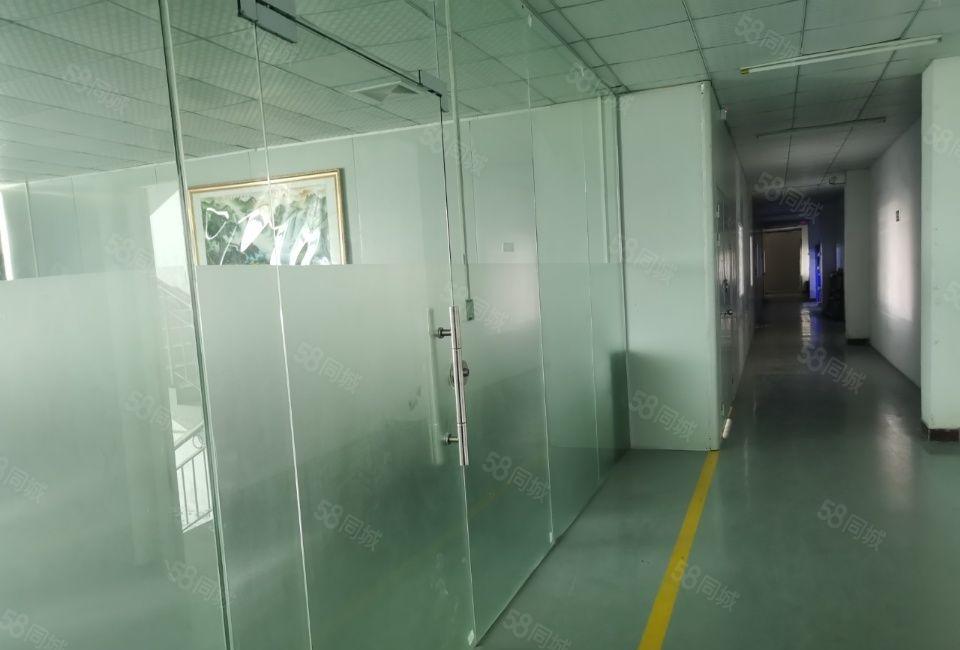 塘厦镇沙湖新出一楼260平米出租