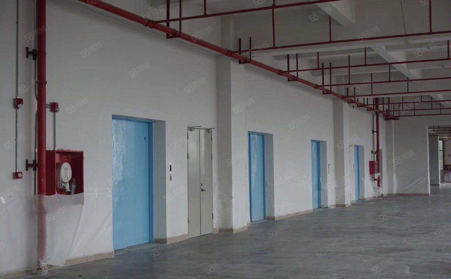 塘厦168工业园独院厂房出租每层2000平可租有一楼可分租