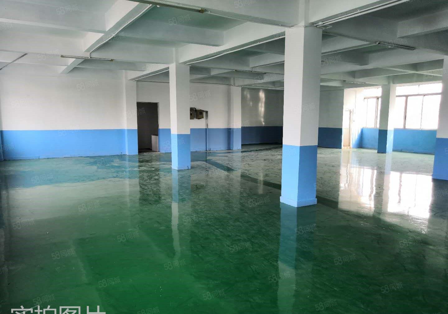 电商.贸易.小加工厂房635平方厂房出租