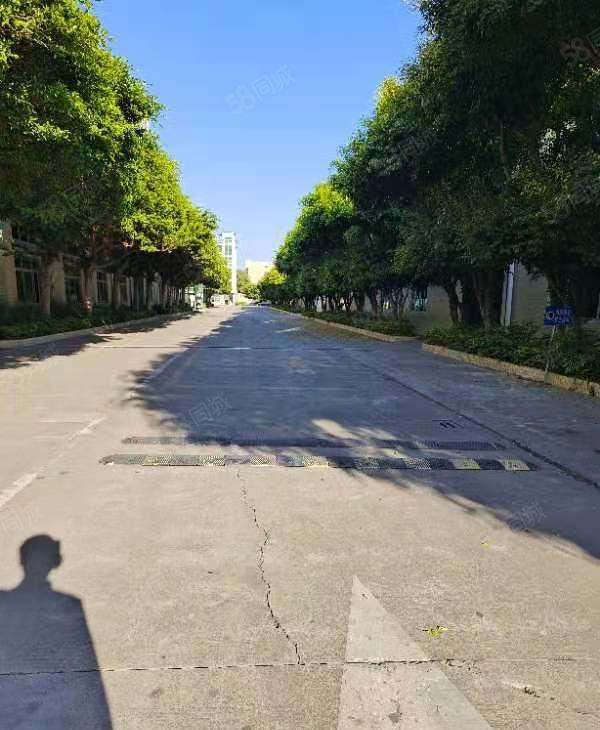 塘厦诸佛岭新出独院花园式厂房38700平，滴水6米，形象好。