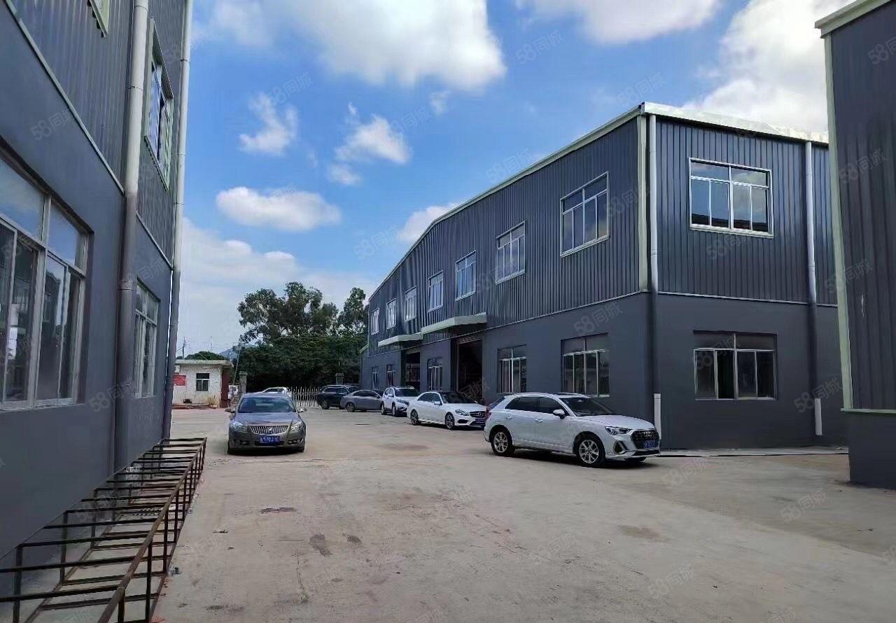 塘夏凤凰岗新全厂房出租，可分租