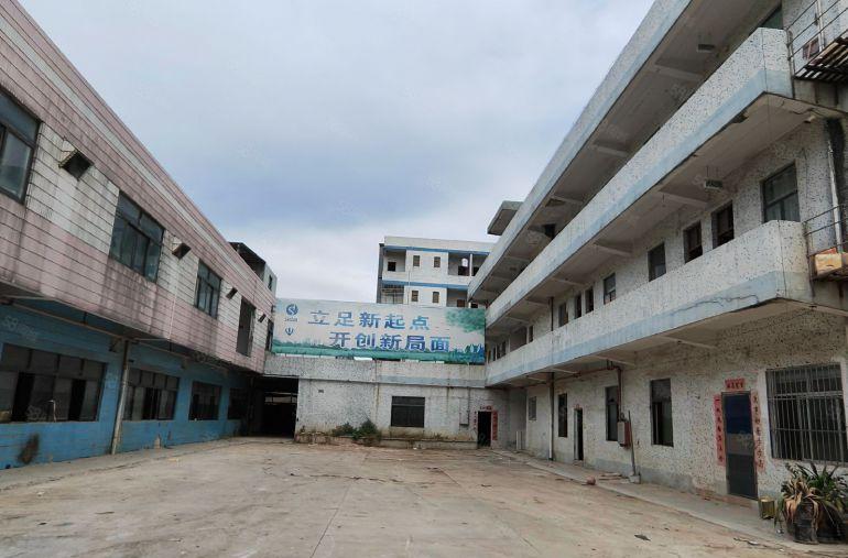 塘厦莲湖独院厂房3200平带宿舍价格13精装修合同期限长