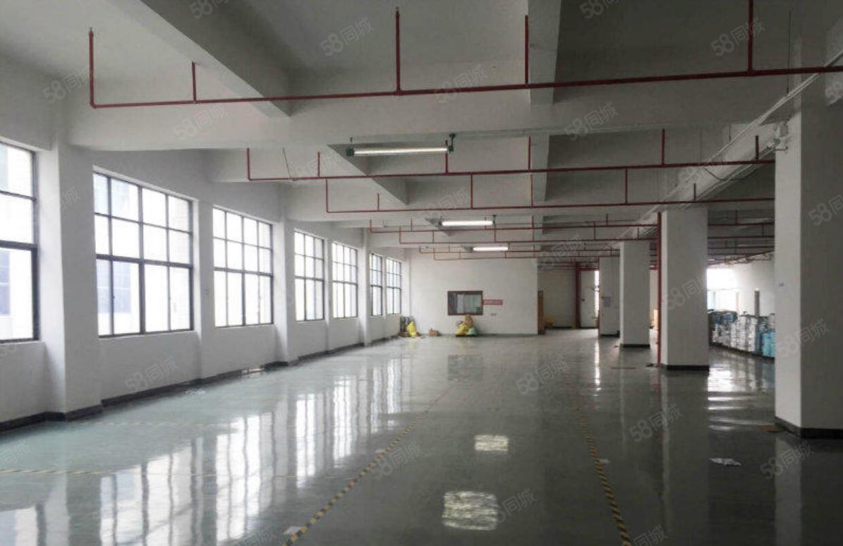 塘厦桥陇刚空出5700平标准独院厂房，现成装修主线，价格美丽