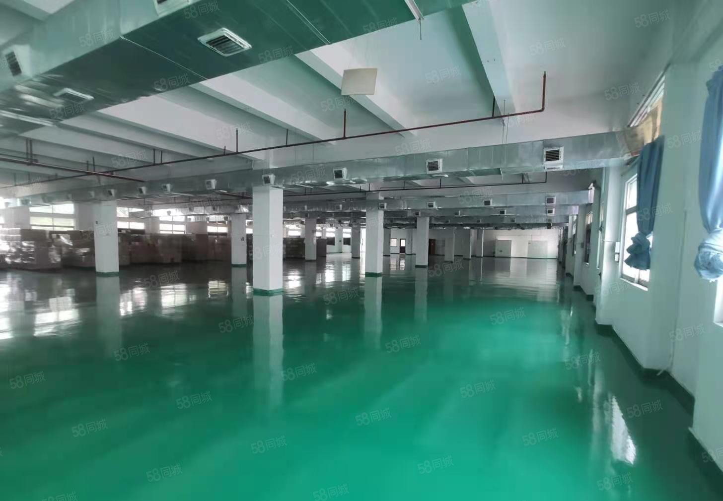 塘厦密集工业区原房东自用厂房分租三楼豪华装修水电到车间现房