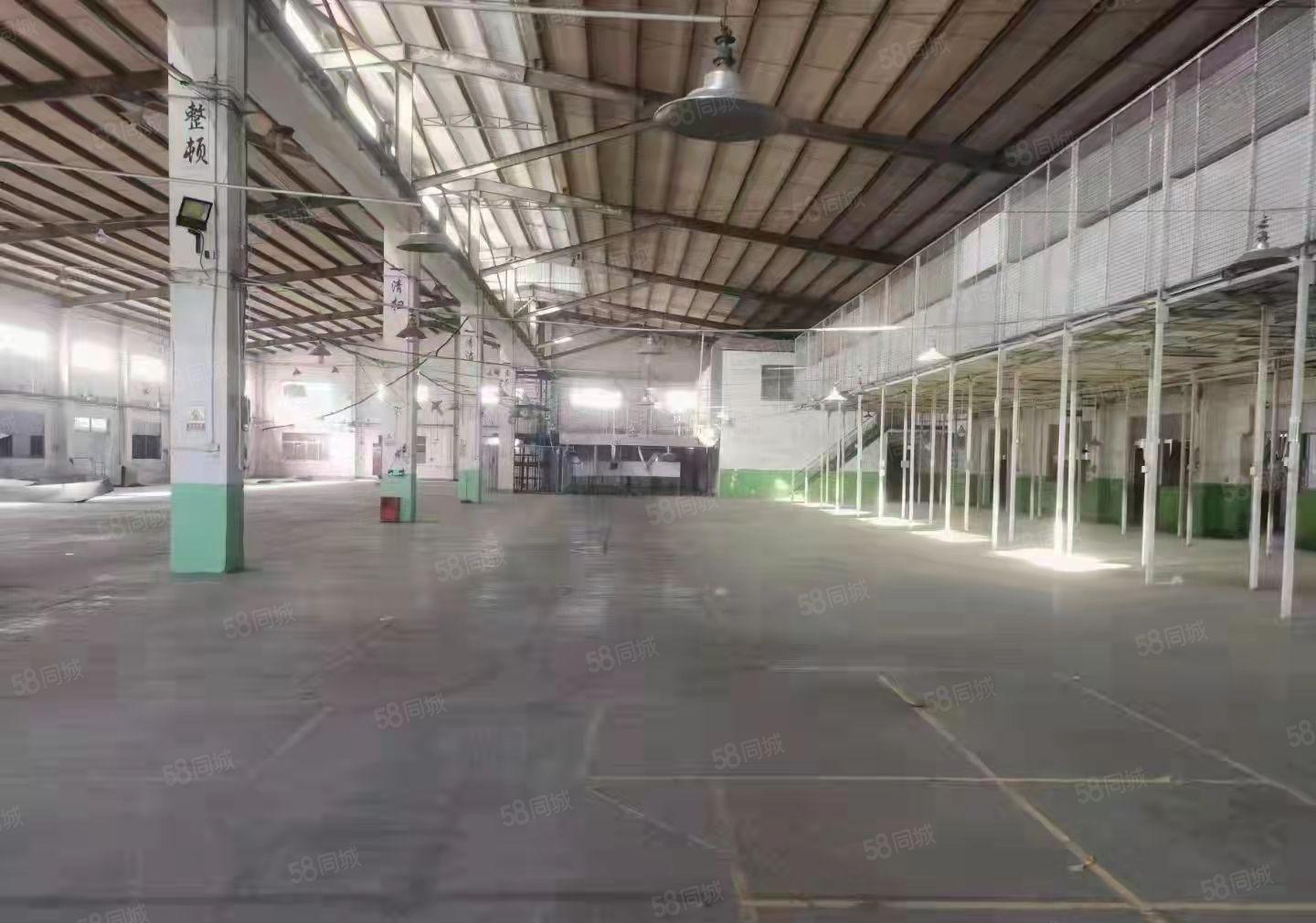 东莞塘厦新出独院钢构 2500平厂房出租