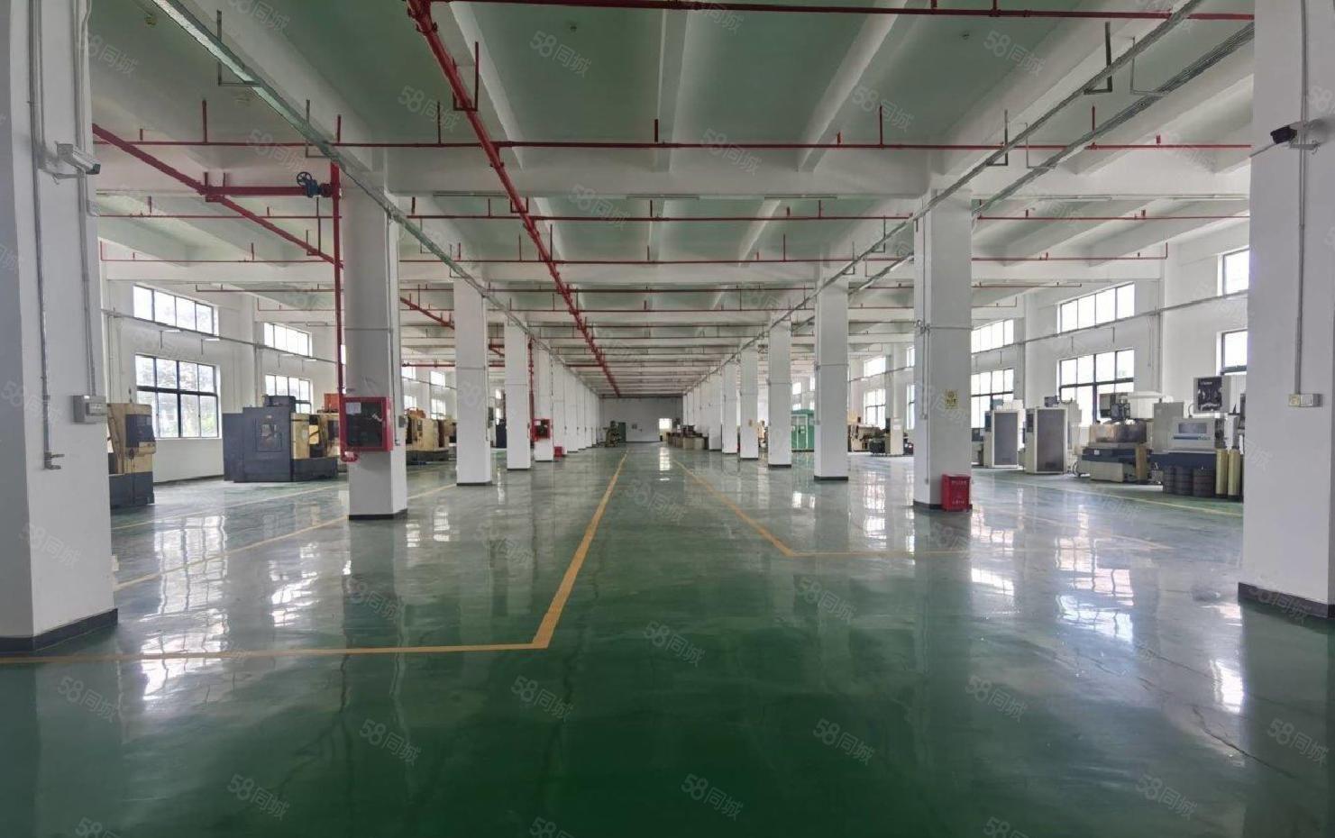 塘厦沙湖花园独院厂房一楼2000平原房东直租，喷淋装修形象好