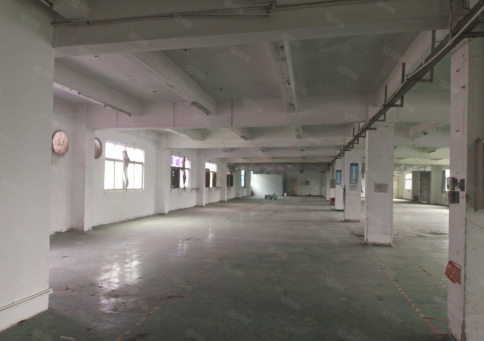 塘厦一楼500平现成物流仓库 独门独院 随时可看可定