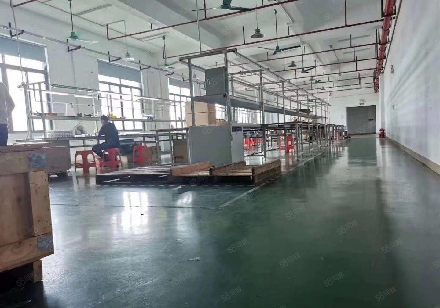 塘厦镇大坪新出标准厂房3050平米出租