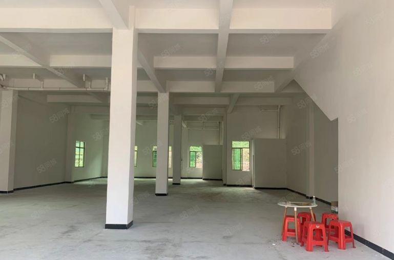 塘厦林村全新独栋一楼650平办公住宿一体，带停车场交通便利