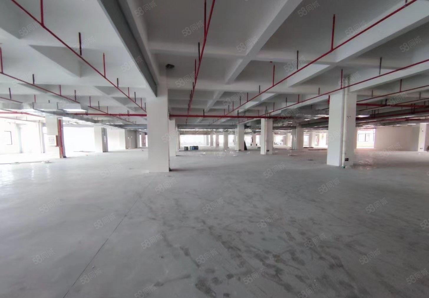 塘厦科苑城一楼9米红本厂房，消防喷淋大小分租