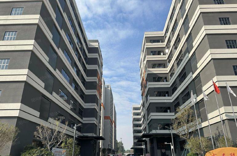 开发商红本面积直租，半年免租期，12元单层2000起厂房出租