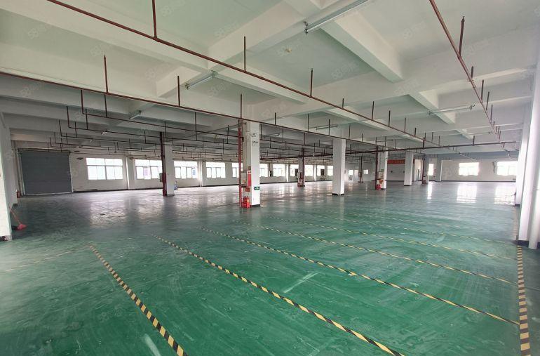 塘厦沙湖整层2300平面积灵活分租带红本低价出租，二次消防