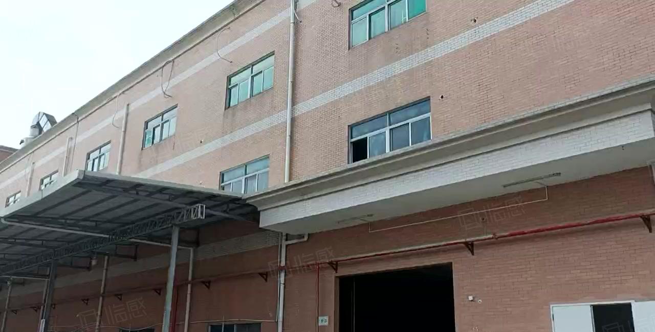 塘厦石鼓新出独门独院10000平厂房出租，高速近大车进出方便