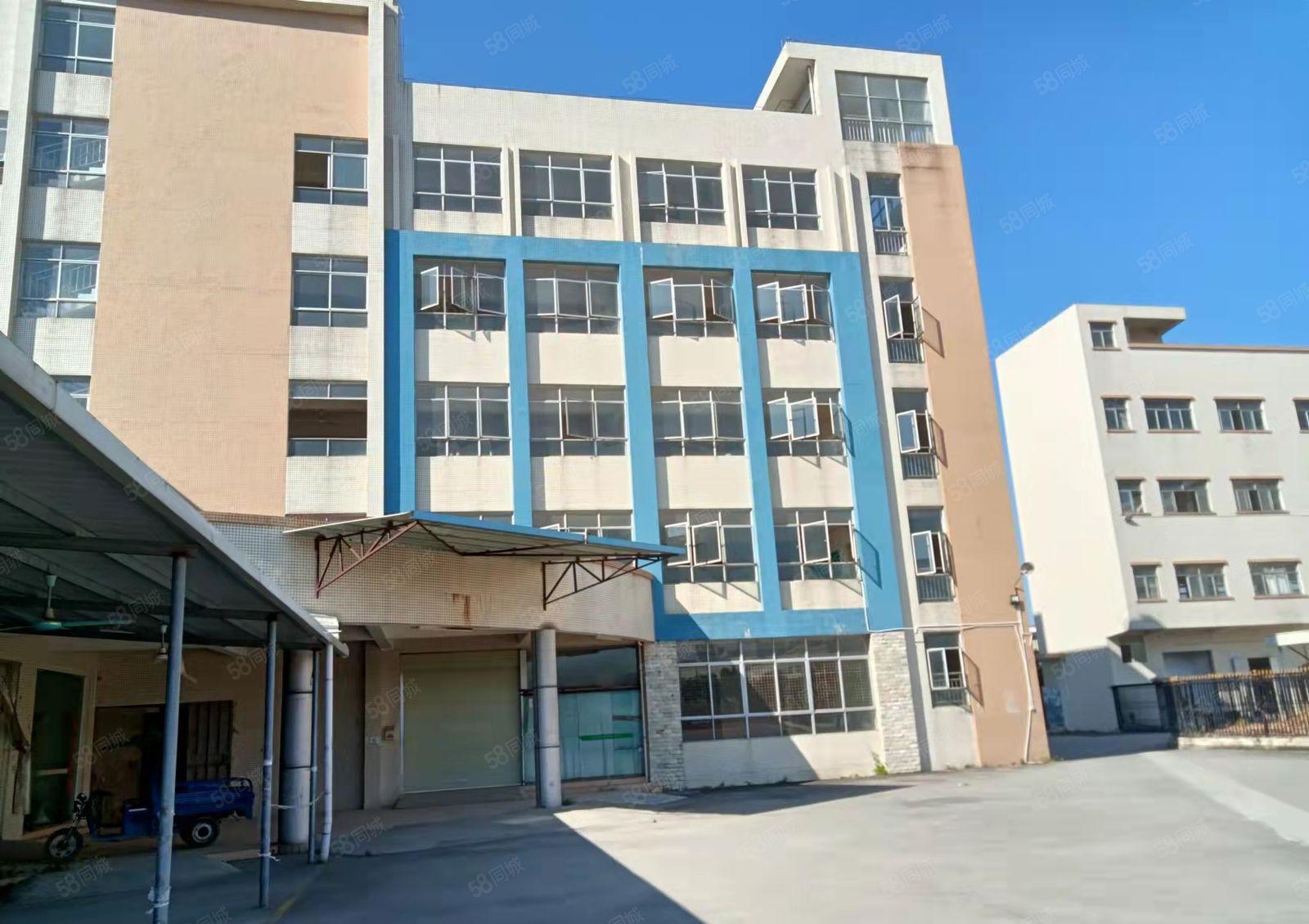 东莞塘厦新出楼上标准厂房420平米出租