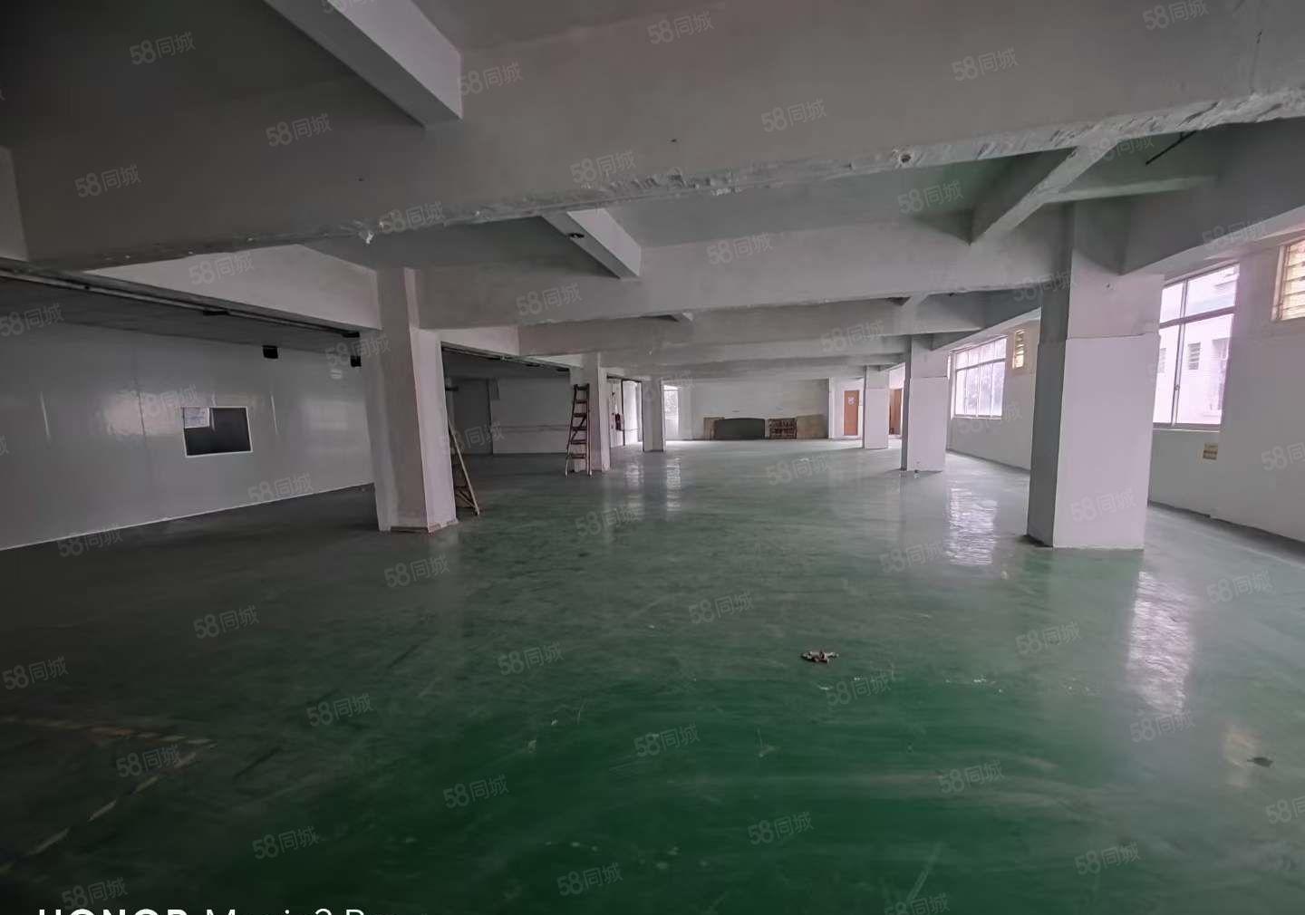 年底特惠！塘厦大坪3楼1000平带办公室装修现成线路大车可进