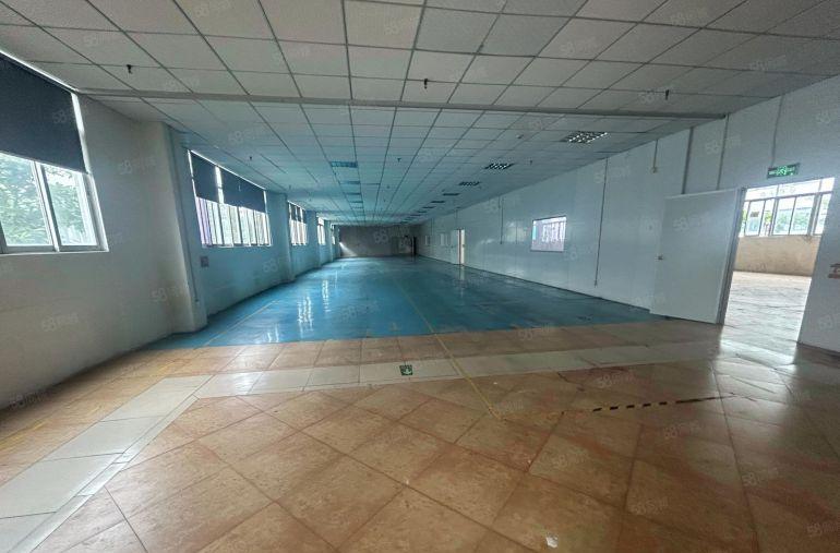 塘厦龙背岭原房东直租标准3楼1200平方！现成格局装修