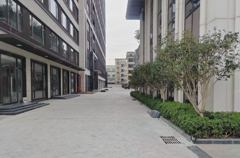 零公摊塘厦原房东全新厂房500至1600平方米单层面积分组