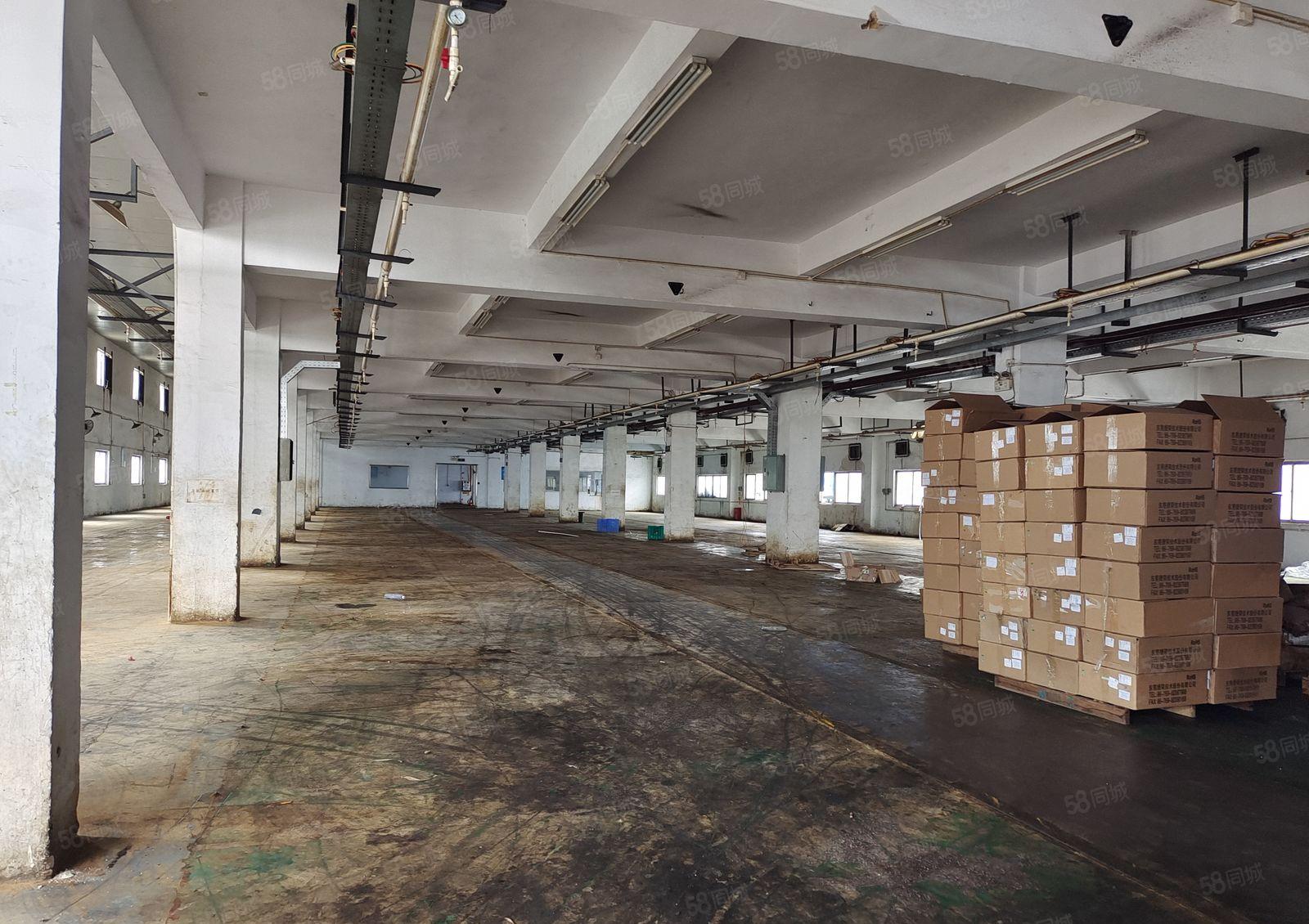 塘厦一手房东直租厂房，一楼实积面积1800平方，合同久