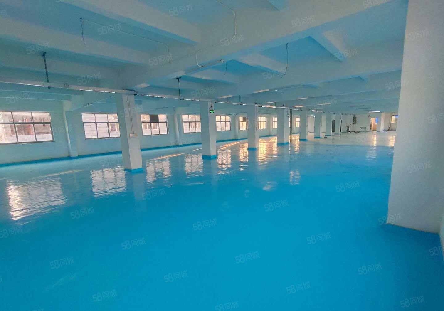 2百平起分租！塘厦田心工业区原房东1680平独栋仓库厂房出租