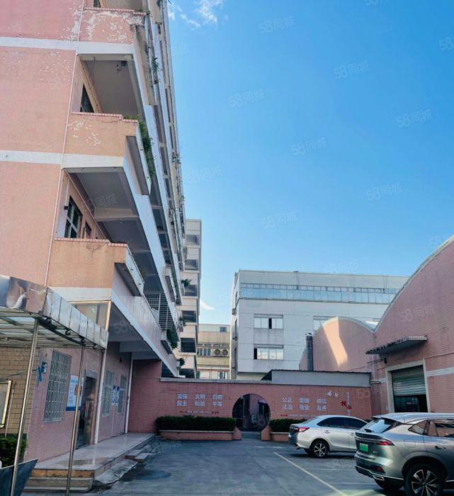 寮步镇下岭贝村原房东厂房出租 面积11000平方 形象好