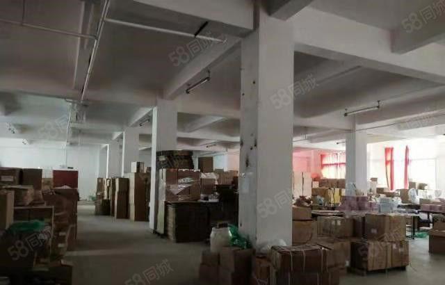 寮步 药勒 全新厂房 共5000平方，10元急租