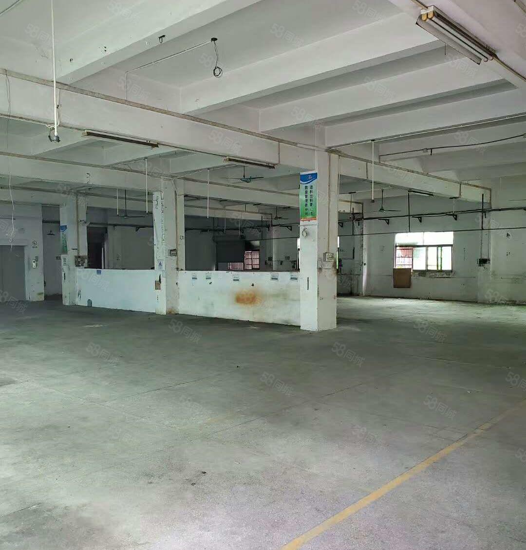 低价出租寮步横坑新出小独院厂房800平方不收取管理费用