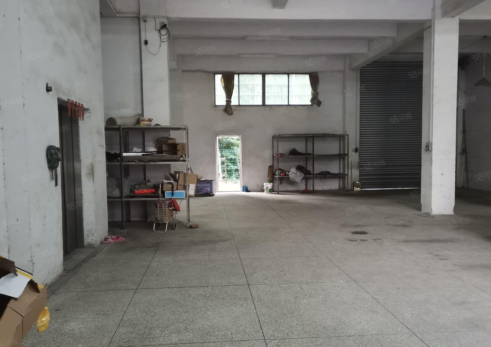 寮步西溪新出原房东一楼350方 7米高 实量面积