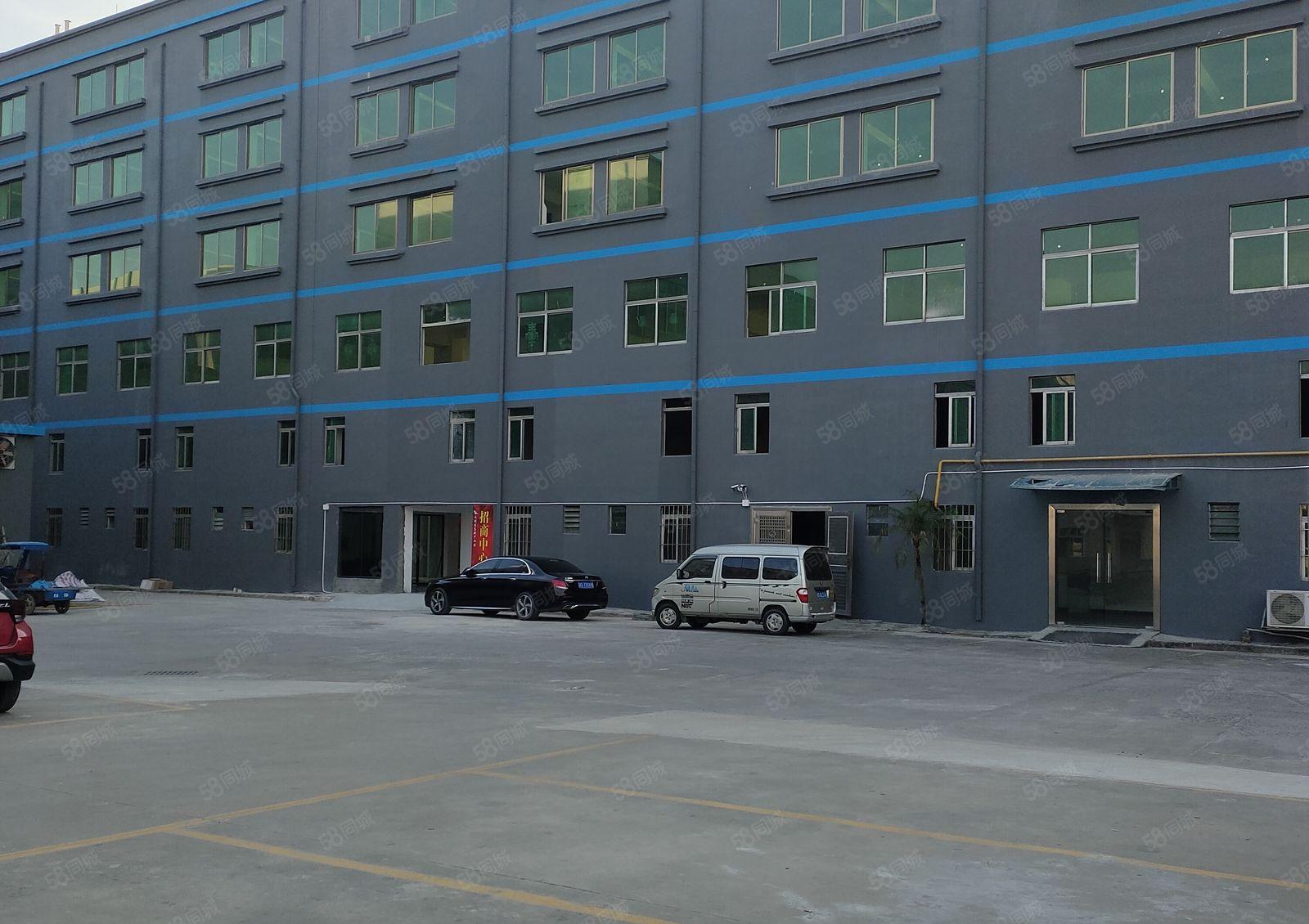 寮步 镇中心 办公室 出租300平方，适合培训办公贸易