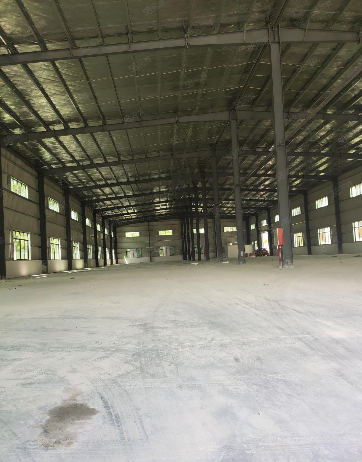 寮步本地原房东单一层砖墙到顶小独院2000平方，滴水8米招租