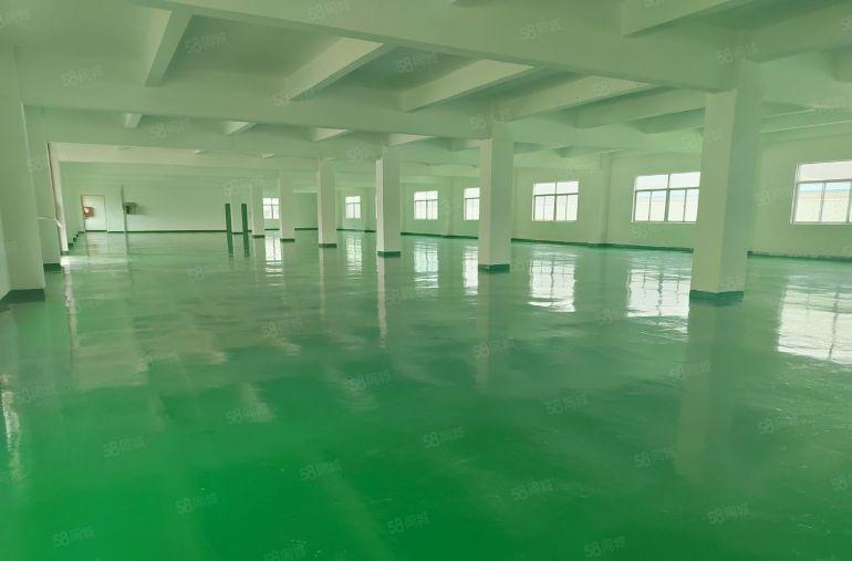 寮步原房东1楼1500平低价实际面积出租可分租可办环评带装修