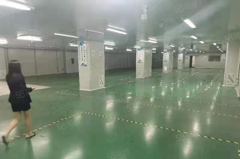 花园式独院厂房10000平方，宿舍20000，办公1800平