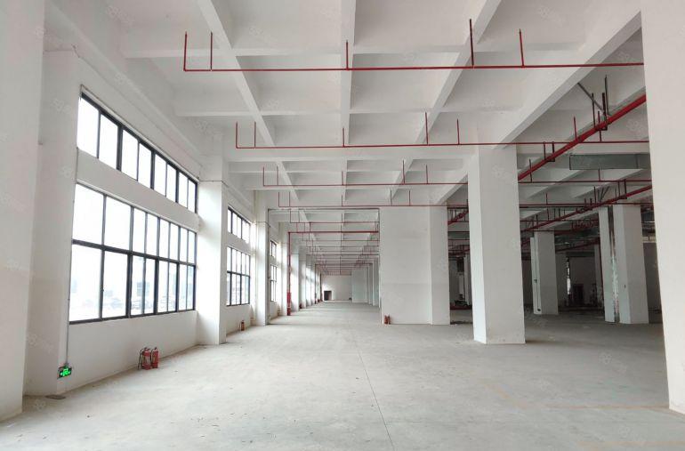 寮步原房东全新独门独院37000平方厂房出租主干道边上形象好