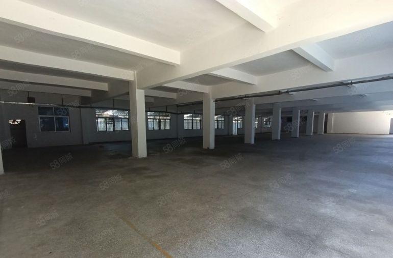 急租大岭山寮步独院小厂房适合五金模具机械设备家具机械可分租