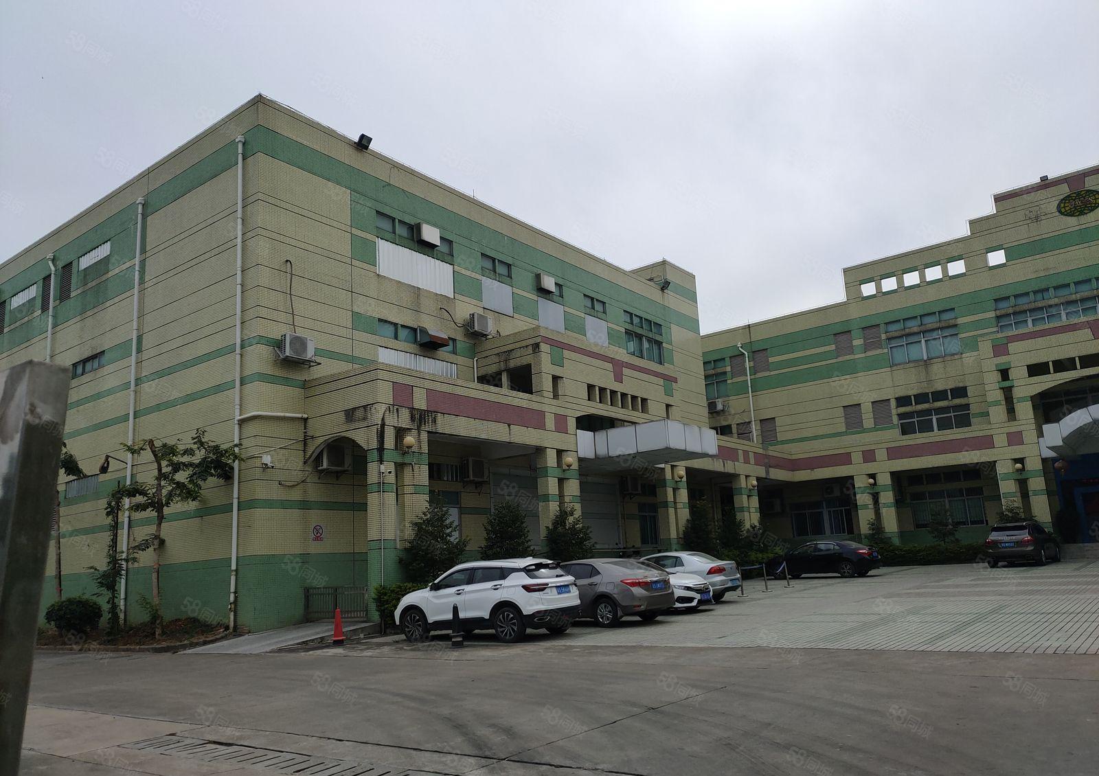 寮步 西溪 自用厂房出租 一楼1000平方,无公摊面积