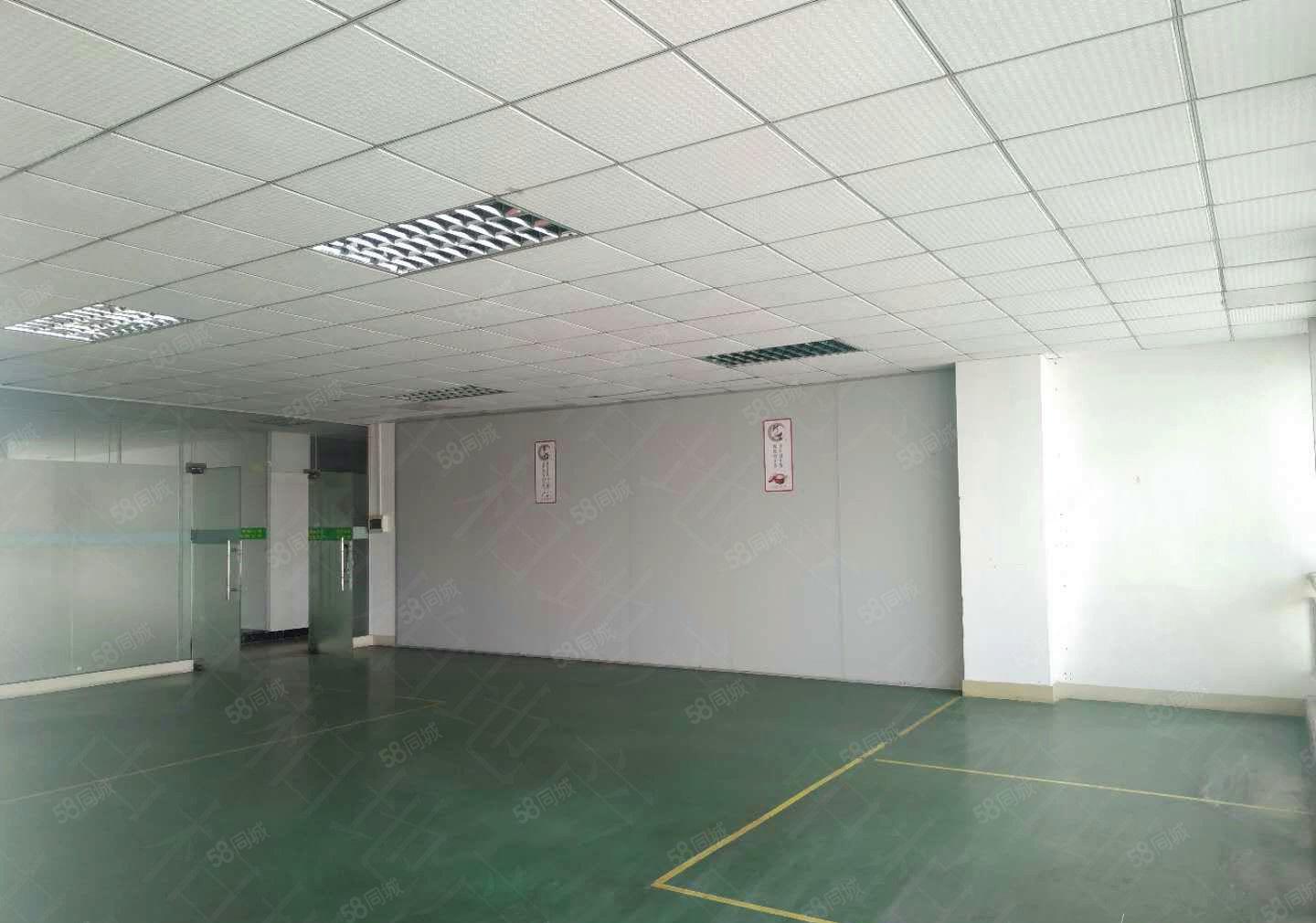 寮步厂房出租石龙坑4300平方厂房招租带地喷漆12元全包！