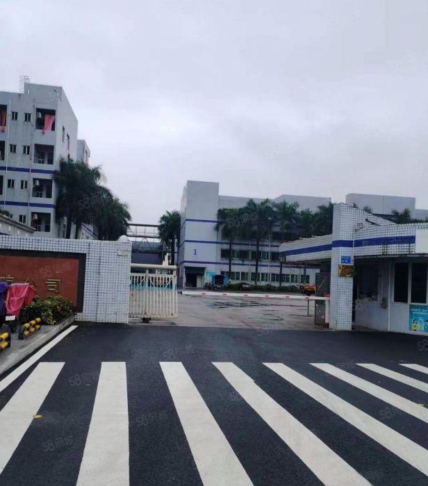 寮步新出原房东标准独院厂房可隔院中院可办环评易招工高速路口