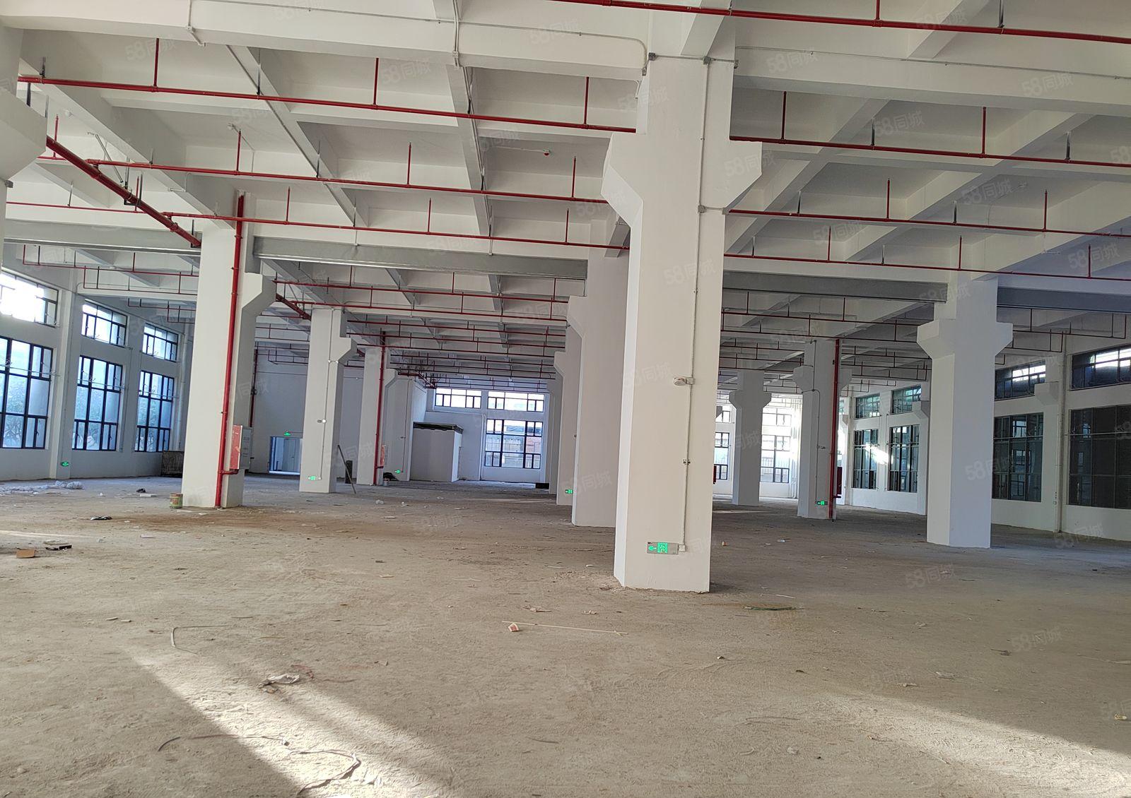 寮步全新重工业厂房1到8层 每层2600平方 1000方起租