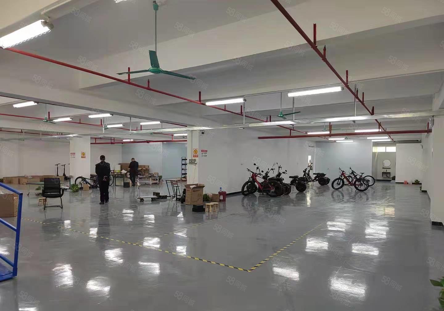 寮步新推出独门独院原房东厂房出租19800平方形象好空地大