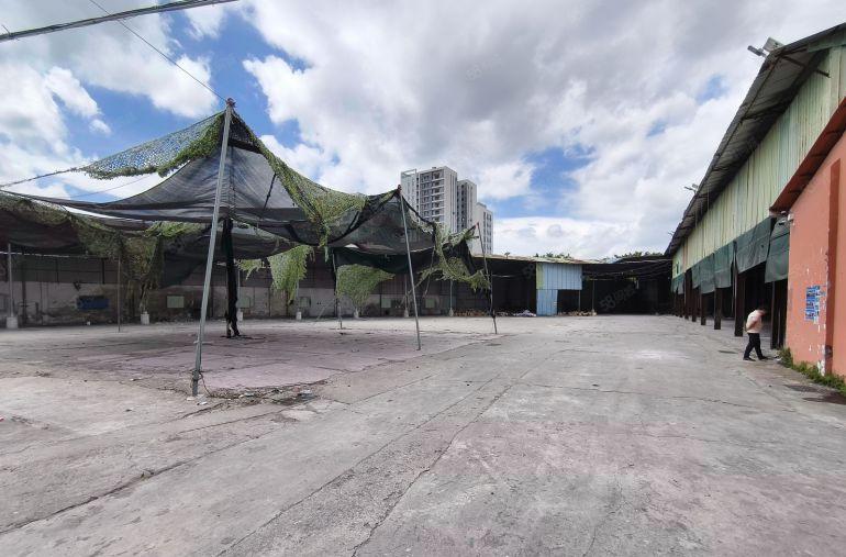 寮步镇小独院，钢构4000平方价格13元，高度9米，形象好