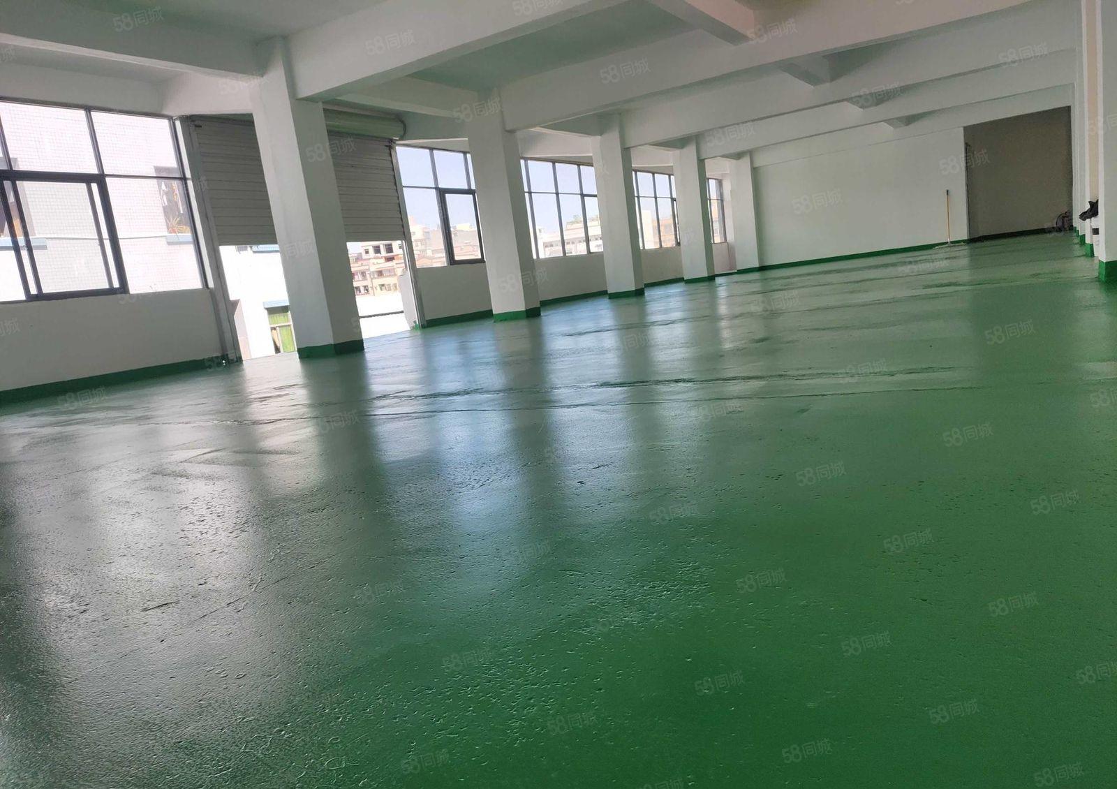 全新地坪漆15元全包！大小分租！