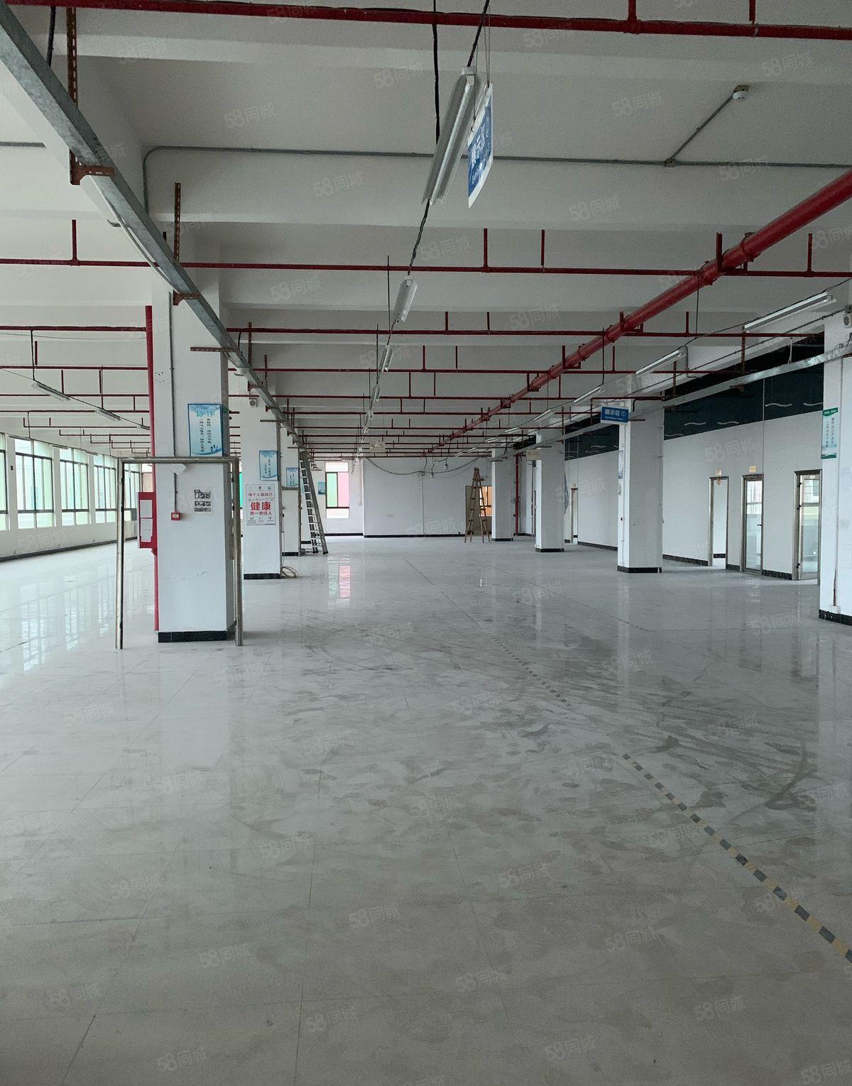 寮步近松湖独院厂房1300平米研发级办公生产出租