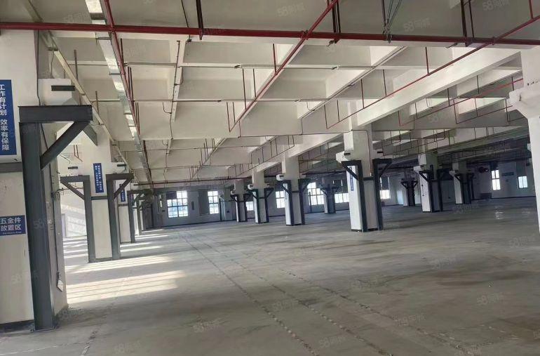 寮步 西溪 自用厂房出租 一楼1000平方,无公摊面积